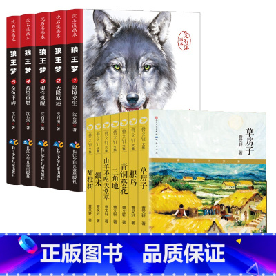 [全12册]沈石溪狼王梦+曹文轩文集7册 [正版]直营狼王梦(共5册)沈石溪画本动物小说 小学生四五六年级课外阅读书籍