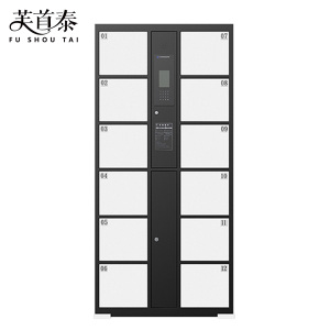 芙首泰智能储物柜人脸识别12门850*460*1800mm台