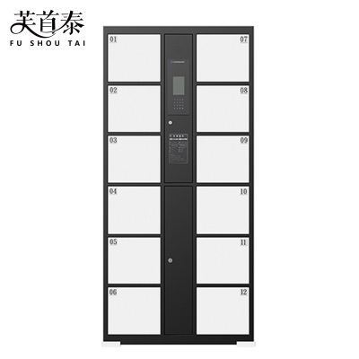 芙首泰智能储物柜人脸识别12门850*460*1800mm台
