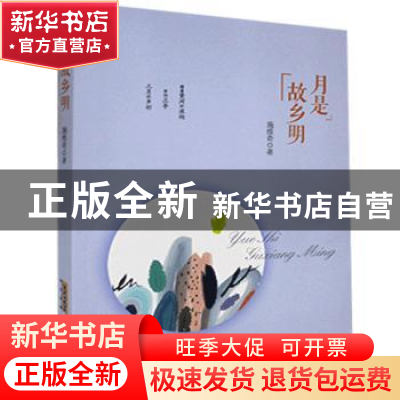 正版 月是故乡明 施维奇 安徽文艺出版社 9787539670539 书籍