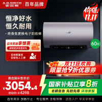 AO史密斯60升电热水器 国家补贴 金圭内胆 双棒分离速热 免换镁棒 免清洗短款 E60ED8-B