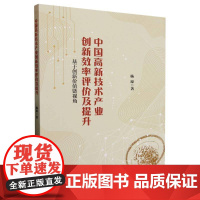 中国高新技术产业创新效率评价及提升:基于创新价值链视角 杨琼 管理书籍正版