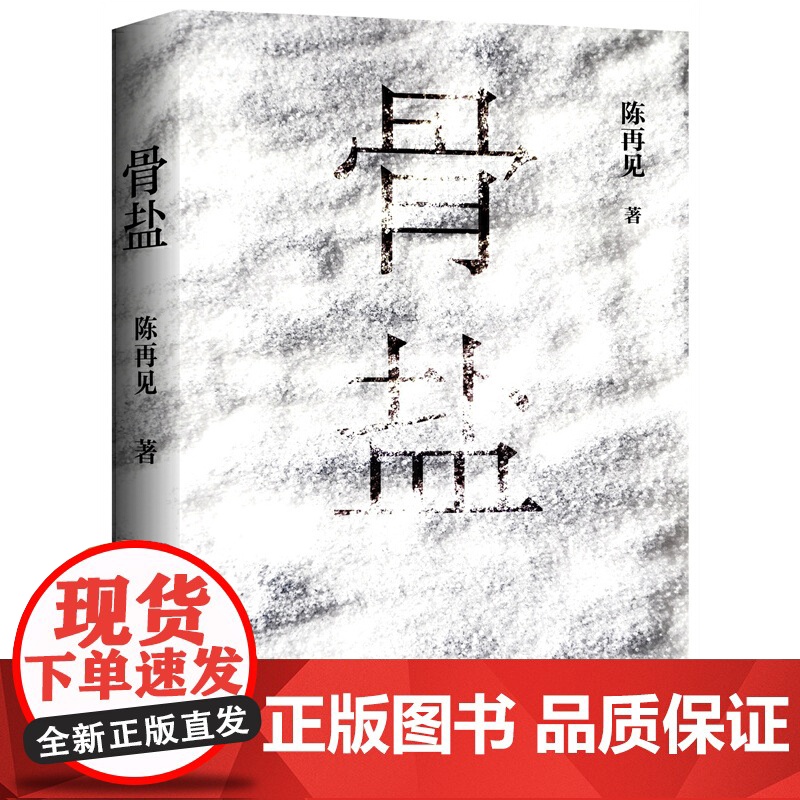 骨盐(80后实力派小说家陈再见长篇新作,少年失踪,雷管炸车,盐田白骨,宗 陈再见 北京十月文艺出版社 正版书籍