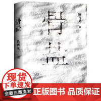 骨盐(80后实力派小说家陈再见长篇新作,少年失踪,雷管炸车,盐田白骨,宗 陈再见 北京十月文艺出版社 正版书籍