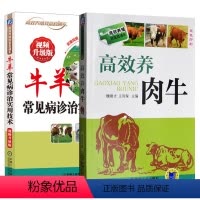 [正版]套装2本高效养肉牛+牛羊常见病诊治实用技术 养牛技术大全 肉牛养殖技术书籍 养牛技术书籍大全 养殖技术书籍大全