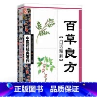 中医药经典著作-白话精解 百草良方 [正版]医祖扁鹊奇方妙治中医药中医名家医学中医医学中医入门基础阅读书籍中医临床实
