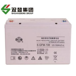 双登蓄电池6-GFM-100