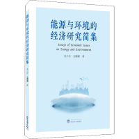 醉染图书能源与环境的经济研究简集9787307221109