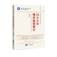 音像国有企业境外审计吴先聪 著