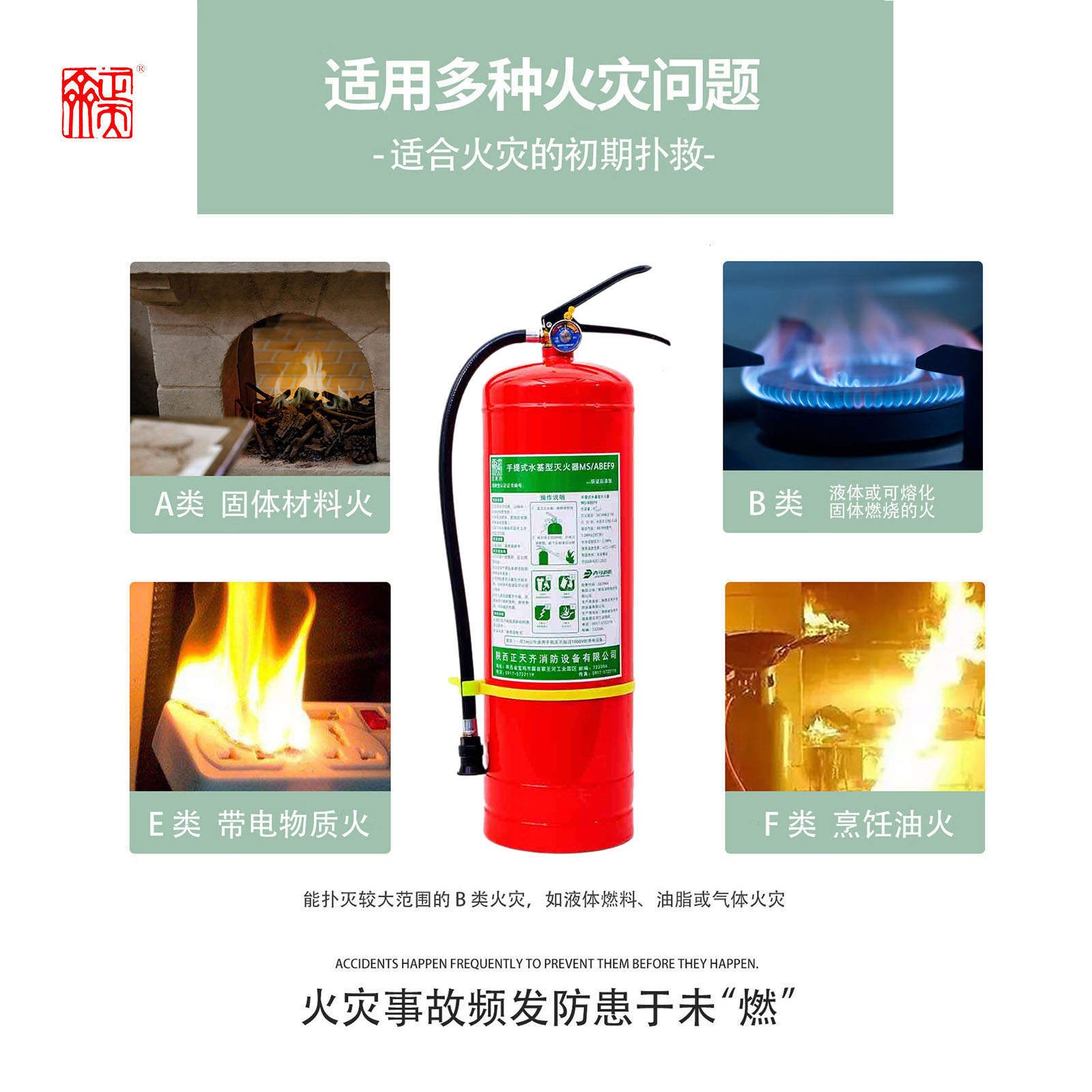 正天齐手提式水基 灭火器MS/ABEF9