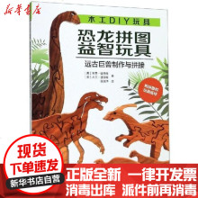 Diy科学玩具图片 Diy科学玩具图片大全 苏宁易购