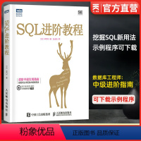 [正版]SQL进阶教程 SQL必知必会中级教程 数据库通用语言基础到进阶从入门到精通 数据开发管理教程 sol教程