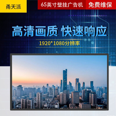 甬天派TOPIT-T19BHWA065-1壁挂式65英寸广告机