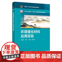 环境催化材料应用实验 高潘潘 丁佳锋 化学工业出版社