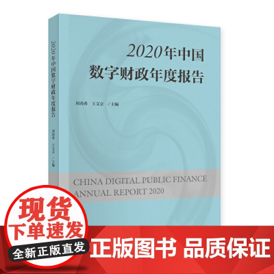 2020年中国数字财政年度报告