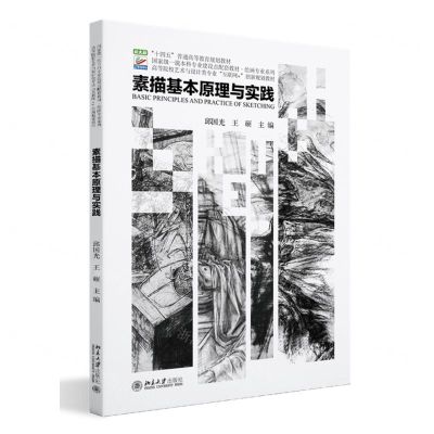 [N]素描基本原理与实践(高等院校艺术与设计类专业互联网+创新规划教材)/绘画专业系列-9787301344910