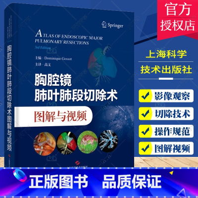 单本全册 [正版]胸腔镜肺叶肺段切除术图解与视频 高文 主译 介绍胸腔镜肺叶和肺段切除的技术操作 静态图像 视频 上海科