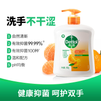 滴露健康洗手液500g PH均衡 抑菌99.9* 4款味可选