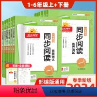 语文 人教版 一年级下 [正版]2024春小学语文同步阅读素养测试下册一二年级三四五六年级上册人教版语文阅读理解训练小学