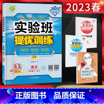 语文 九年级下 [正版]2023春 实验班提优训练九年级下册语文人教版江苏 初三语文练习册 九年级下册语文同步训练 9年