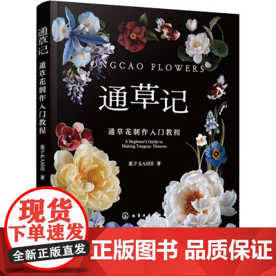 通草记:通草花制作入门教程