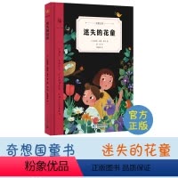 [正版]迷失的花童 精装典藏书 精美插画 儿童文学 小学生课外阅读经典读物 二十一世纪出版社