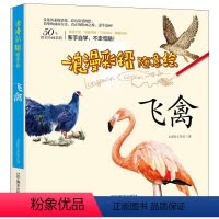[正版]书籍 浪漫彩铅随意绘飞禽 学画画自学彩铅画美术书 手绘入门教程 绘画基础知识掌握绘画技巧 彩铅画册书籍 XQ
