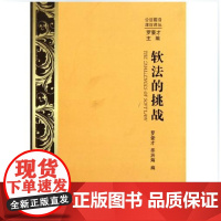正版 软法的挑战/公法前沿理论译丛 罗豪才//毕洪海|主编:罗豪才