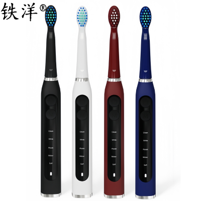 铁洋 电动牙刷 EB511 个