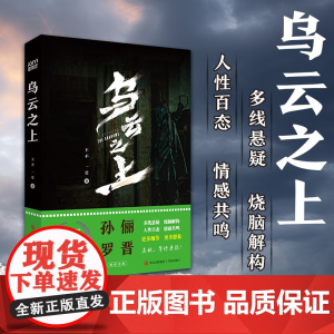 乌云之上 王不 一莹著 孙俪 罗晋主演悬疑刑侦同名剧原著小说 悬疑推理 多线悬疑 烧脑解构 情感共鸣 犯罪小说 预售