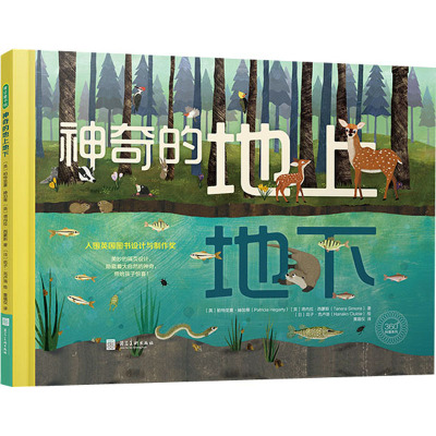 神奇的地上地下