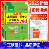 [2025-小升初28套]语数英 3本-江苏版 小学升初中 [正版]小升初2025新版江苏省小学毕业升初中考试卷精选28