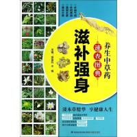 正版新书]养生中草药速查图典(滋补强身)徐国钧//王强9787533545