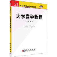 大学数学教程(下册)