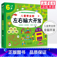 [正版]儿童黄金期左右脑大开发6-7岁全脑智力开发关键题专注力训练书早教开发逻辑思维训练开发培养动手动脑找不同找茬图案