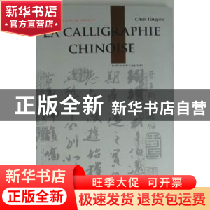 正版 中国书法 陈廷祐著 五洲传播出版社 9787508519982 书