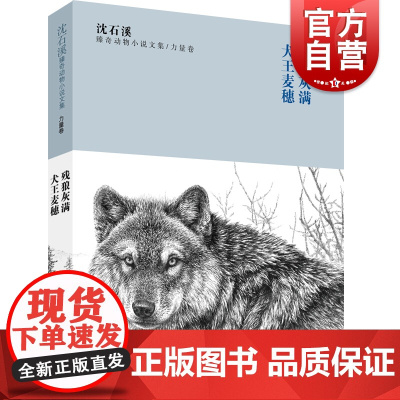 沈石溪臻奇动物小说文集力量卷 残狼灰满 犬王麦穗 7-9-12-15岁儿童文学书籍小学生三四五六年级课外阅读书籍 少年儿