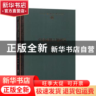 正版 中国虚拟土地研究:中英对照 郭珊 中央编译出版社 978751173