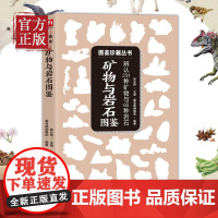 矿物与岩石图鉴 教你辨认231种矿物与65种岩石 适合儿童青少年成人的家庭拓展阅读书籍 自然科普爱好者工具书