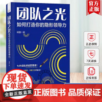 正版 团队之光 如何打造你的隐形领导力 一本写给各层级职场人士的领导力实践工具书 杨磊 著 中国科学技术出版社