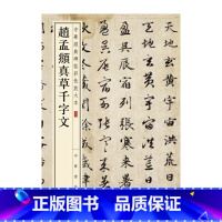 [正版]书籍赵孟頫真草千字文(中华经典碑帖彩色放大本)
