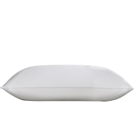 依朴 枕芯 480*780mm 个