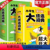 [正版]2023小学生大成语词典大英语词典小学多功能大全1-6年级彩图版全功能字典英汉汉英双解互译小词典词汇语法单词儿