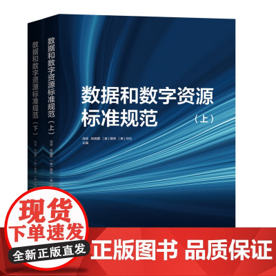 数据和数字资源标准规范 肖珑 姚晓霞 [美]薛燕 [美]邓石/著 广西师范大学出版社