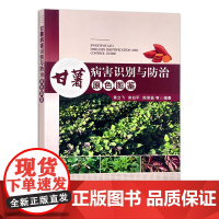 [中国农业出版社]甘薯病害识别与防治原色图鉴 9787109270473 甘薯 红著 病害识别 防治 原色图鉴 薯类病害