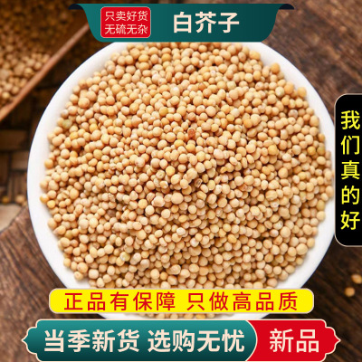 正品白芥子100克干货官方店白介子辣菜子芥菜子炒白芥籽泡茶泡水新货9260