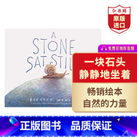 [正版]一动不动的石头 一块石头静静地坐着 英文原版绘本 A Stone Sat Still Brendan Wenz
