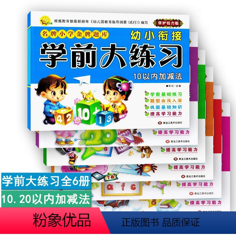 [正版]幼小衔接学前大练习全6册 10 20以内加减法数学拼音语言学前基础练习幼升小学前班小学入学准备假期作业 黑龙江