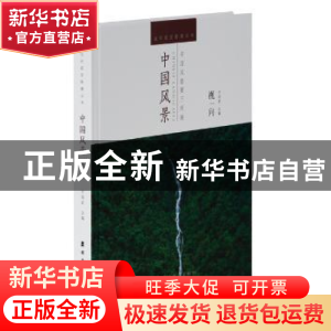 正版 中国风景:视向 许培武 岭南美术出版社 9787536255791 书籍