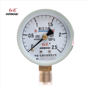 红旗 智能数字压力表精检款 YS-100 0.5级 块